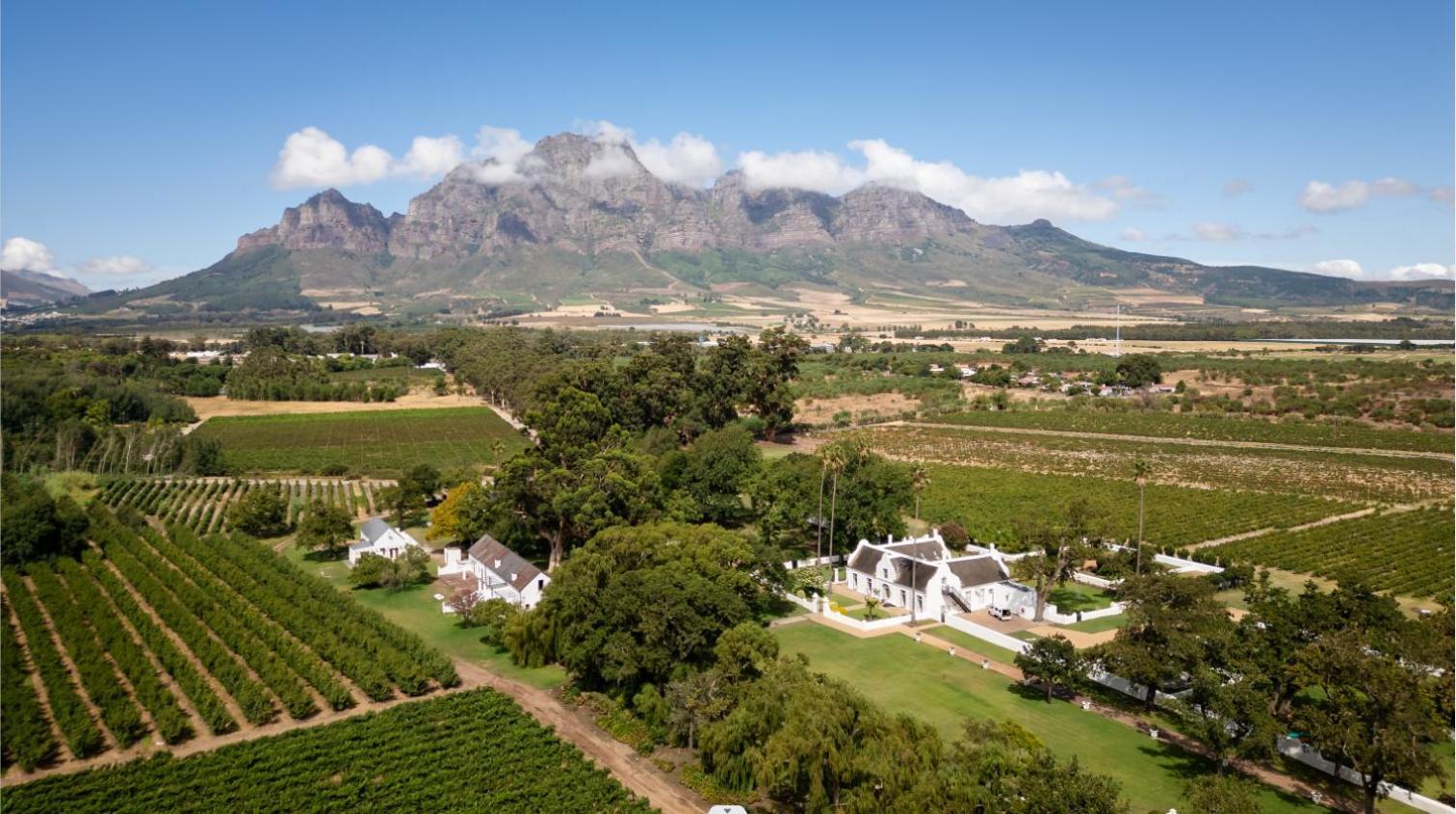 Allee Bleue Wine Estate Simondium Bagian luar foto
