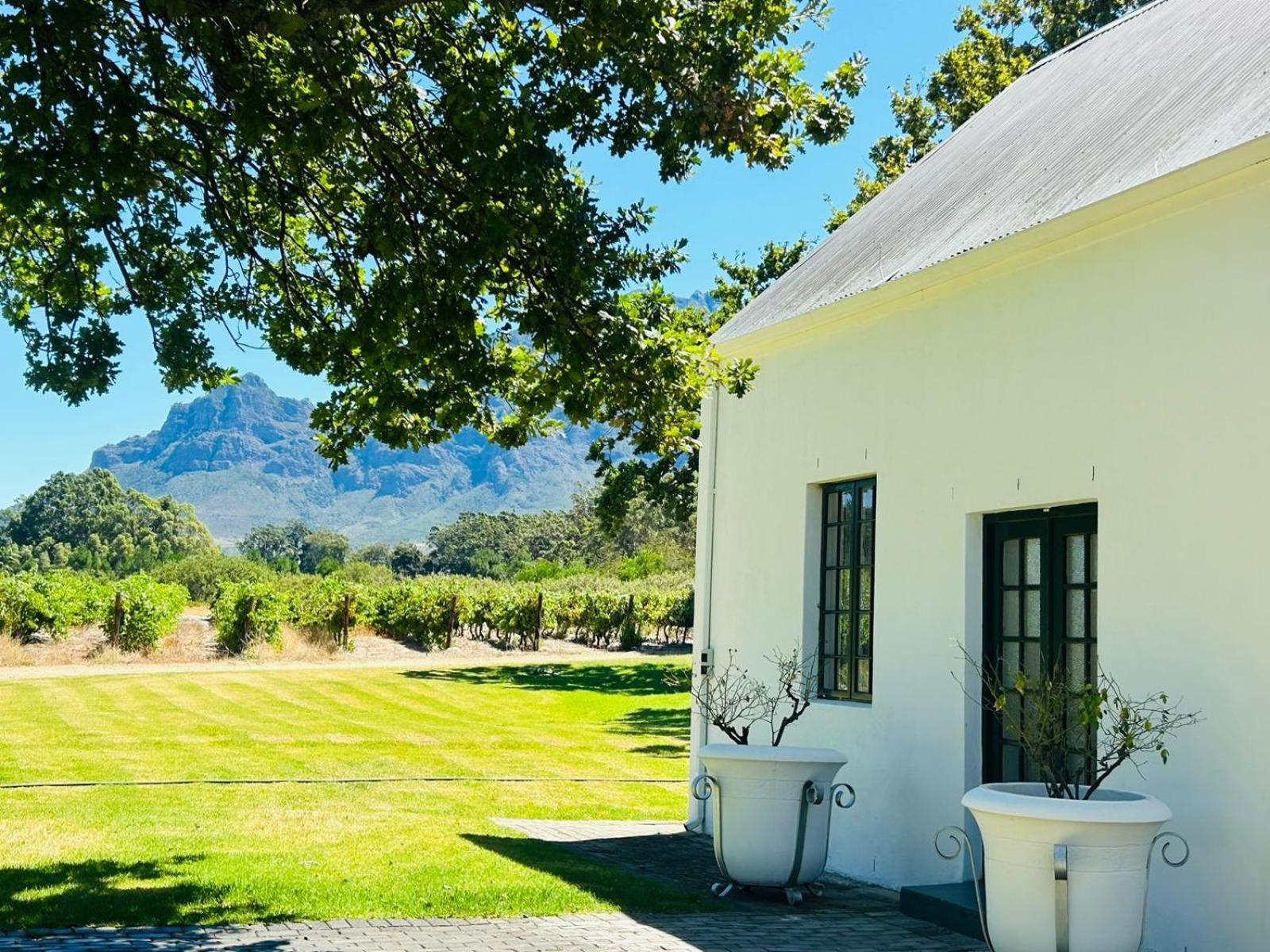 Allee Bleue Wine Estate Simondium Bagian luar foto