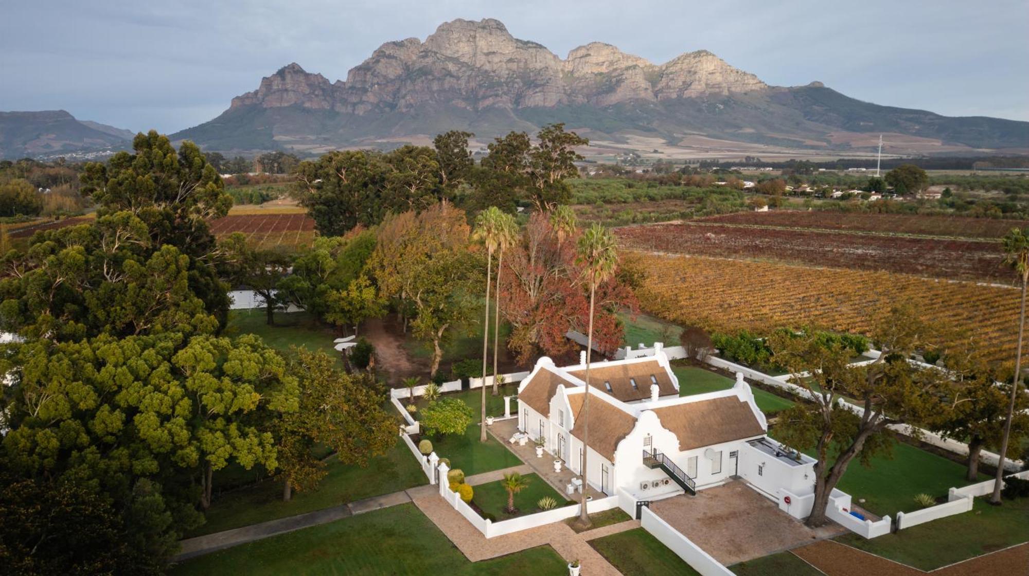Allee Bleue Wine Estate Simondium Bagian luar foto